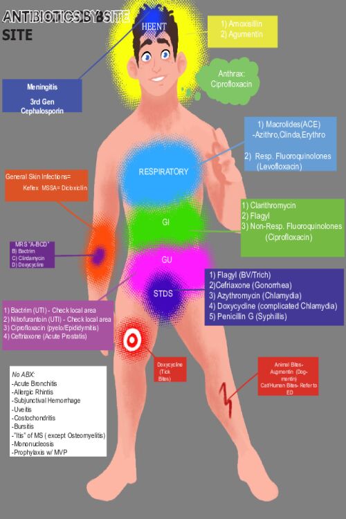 Antibiotics by Site
