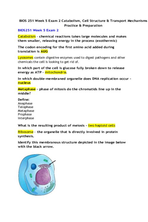 BIOS 251 Week 5 Exam 2 Catabolism, Cell Structure & Transport Mechanisms