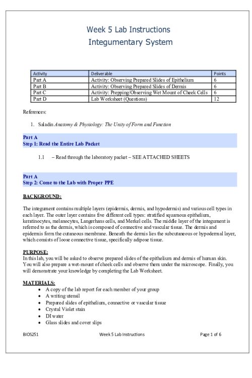 BIOS 251 Week 5 Lab; Integumentary System Observations & Activity Guide