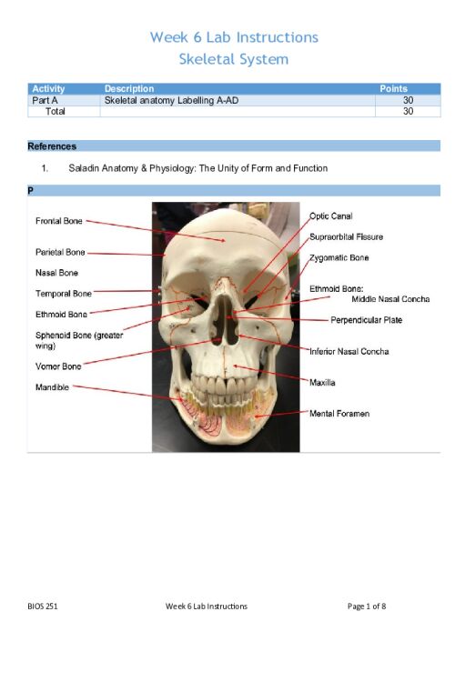 BIOS 251 Week 6 Lab; Skeletal System Activity