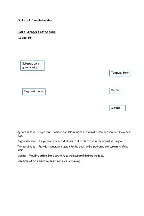 BIOS 251 Week 6 Virtual Lab - Skeletal System - Grade 30 out 30