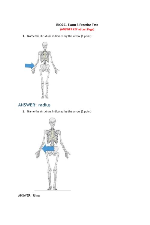 BIOS 251 Week 8 Exam 3 Practice Test