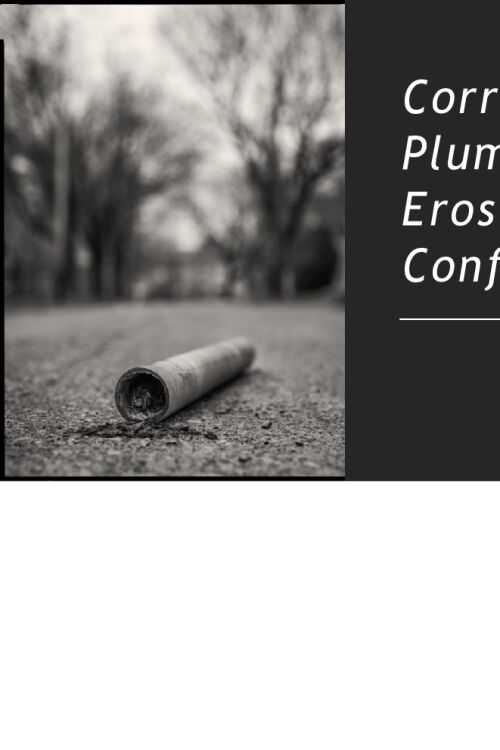 Corrosion of Plumbing, Erosion of Confidence