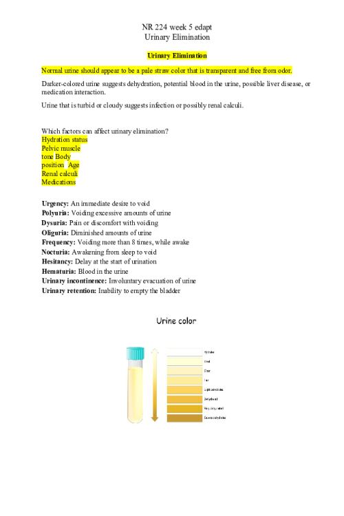 NR 224 Week 5 Supplemental Assignment; Urinary Elimination.