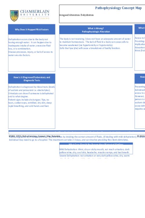 NR 283 Week 6 Concept Maps_ Dehydration