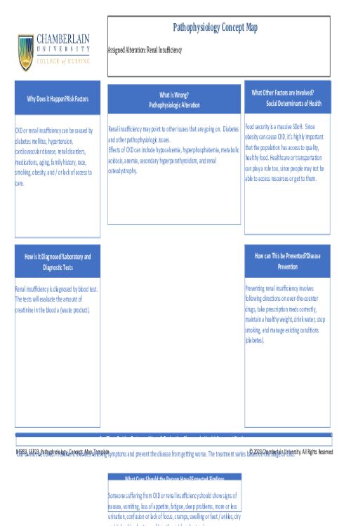 NR 283 Week 6 Concept Maps_ Renal Insufficiency