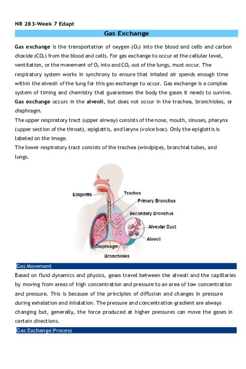 NR 283 Week 7 eDapt; Gas Exchange