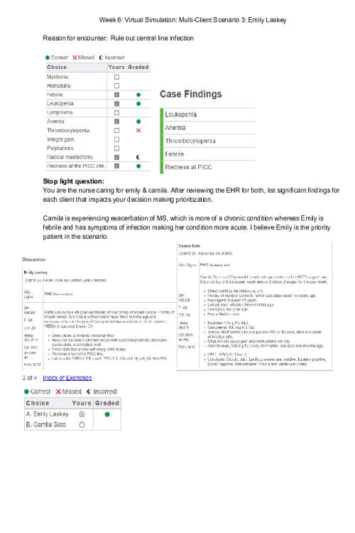 NR 446 Week 6 Virtual Simulation; Multi-Client Scenario 3; Emily Laskey