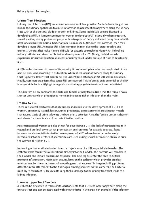 NR 507 Week 4 Assignment; Urinary System Pathologies; Common Diseases and Disorders