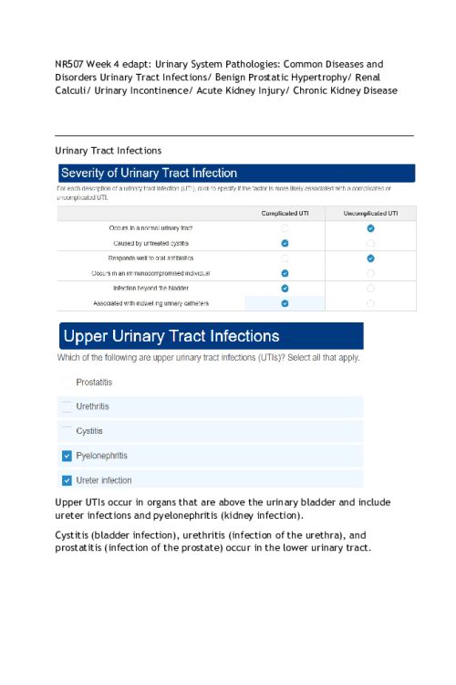 NR 507 Week 4 Edapt; Urinary System Pathologies..