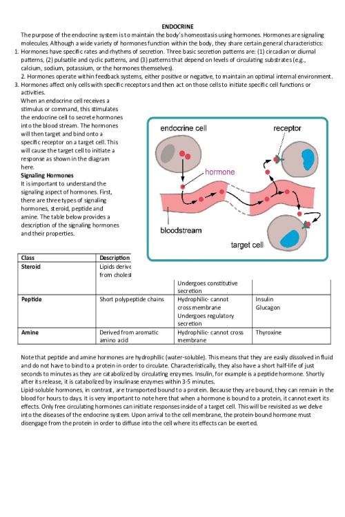 NR 507 Week 6 Assignment; Alterations in the Endocrine System.