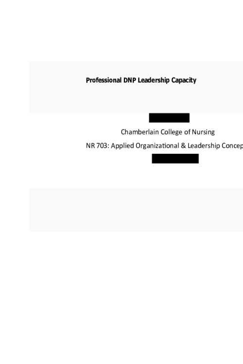 NR 703 Week 6 Assignment; Professional DNP Leadership Capacity