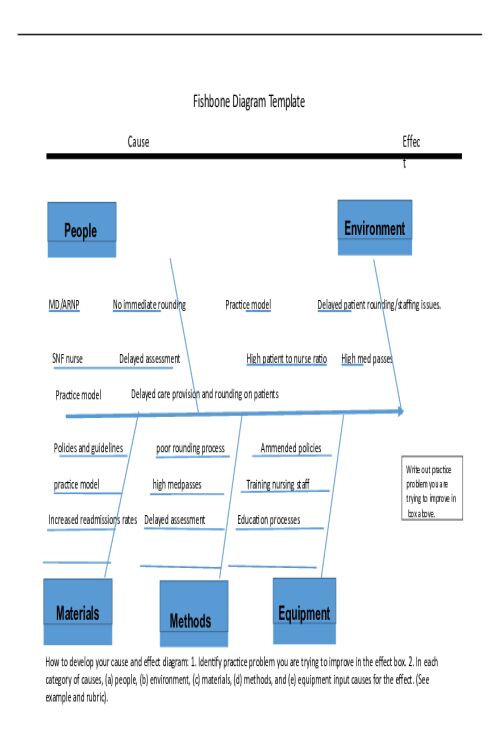 NR 706 Week 6  Assignment; Ishikawa Fishbone Diagram Template