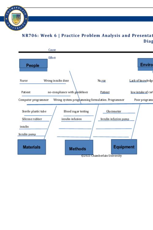 NR 706 Week 6 Practice Problem Analysis and Presentation - Fishbone Diagram