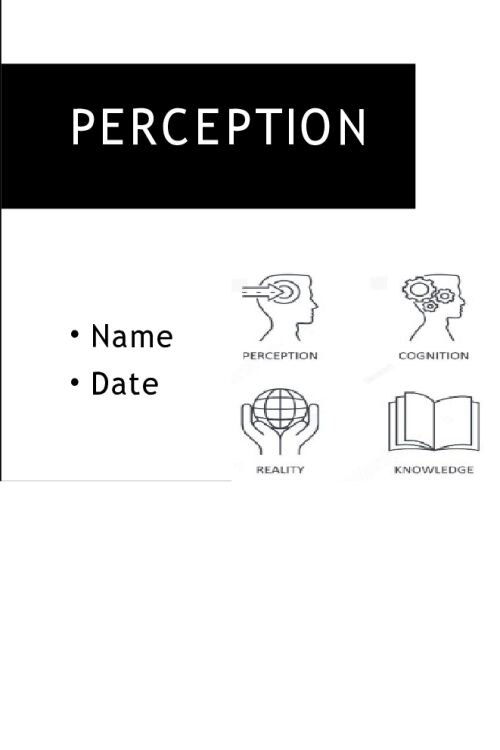 Perception Presentation; The Way That We Experience the World (8 Slides)