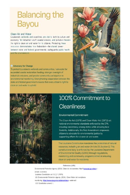 POLI 330N Week 2 Creative Writing Assignment; Analyzing Public Policy Through a Lens of Federalism - Environment; The Right to Clean Air and Water Flyer